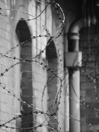 Close-up of barbed wire