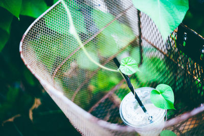 View of plastic glass with straw and creeper plant