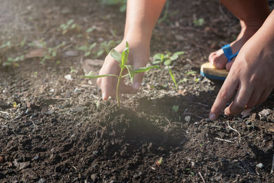 Low section of child planting in garden