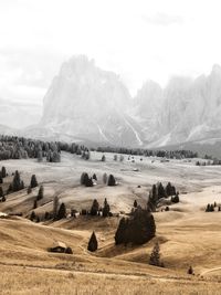 Scenic view of landscape and mountains against sky