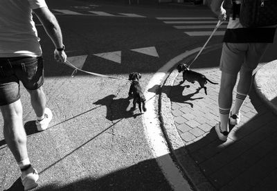 Low section of friends walking with dog on street