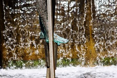 Close-up of water drops on snow