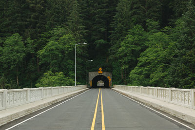 Road amidst trees