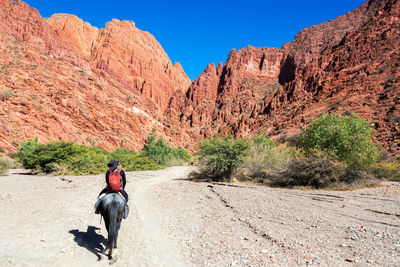 Rear view of person riding horse in mountains