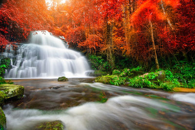 Scenic view of waterfall in forest during autumn