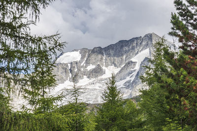 Low angle view of snowcapped mountain against sky