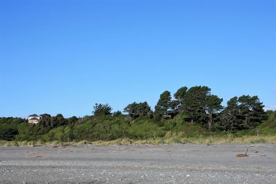 Trees on landscape against clear blue sky