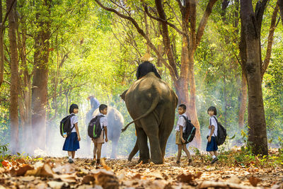 Men riding elephants amidst students walking in forest