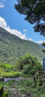 Plants growing on land against sky