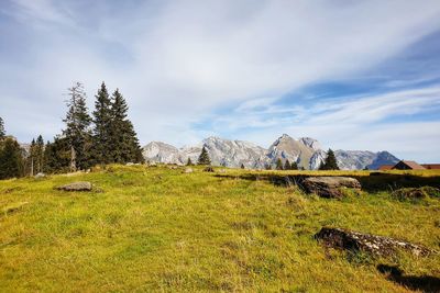 Scenic view of field against sky