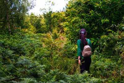 Rear view of woman walking amidst plants