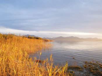 Scenic view of lake against sky