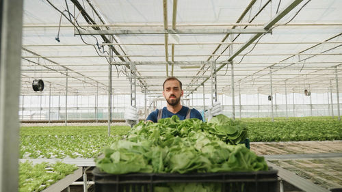 Low angle view of man standing in greenhouse