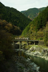 Local train running on the takayama line in autumn