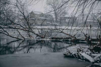 Bare trees by lake against sky during winter