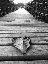 Close-up of wooden planks on wooden boardwalk