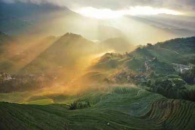 Scenic view of farm during sunset