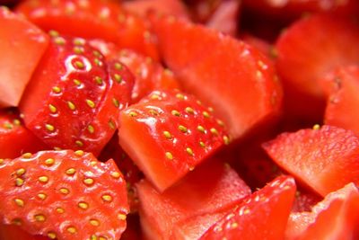 Close-up of red rose