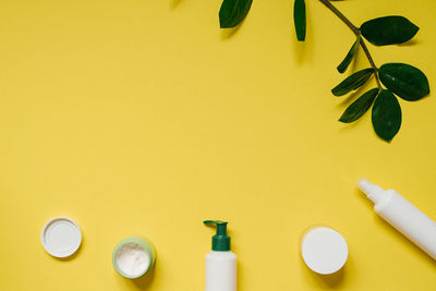 White cosmetic jar and a bottle of cream with a top view of the leaves of plants, a mock-up