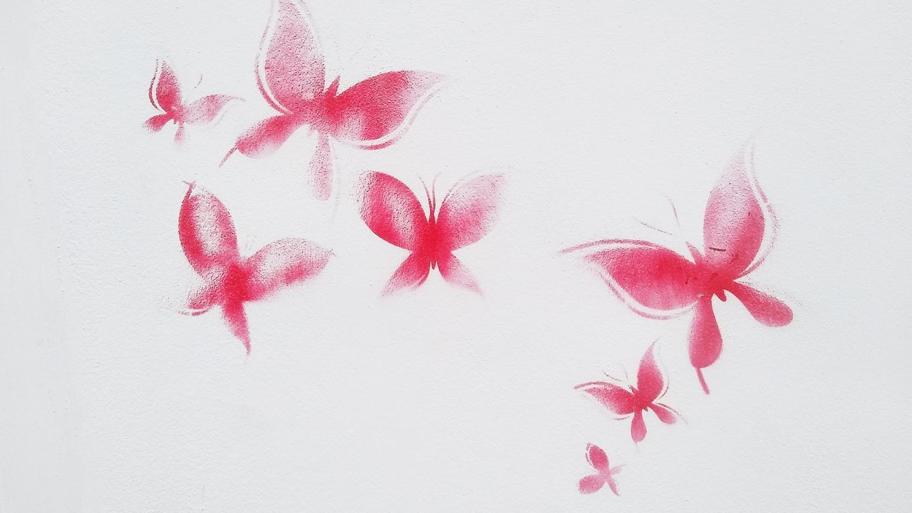 CLOSE-UP OF PINK FLOWER AGAINST WHITE BACKGROUND