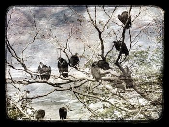 Bird perching on tree trunk