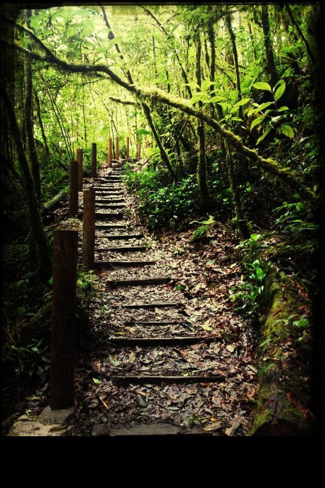 Parque Nacional, La Tigra