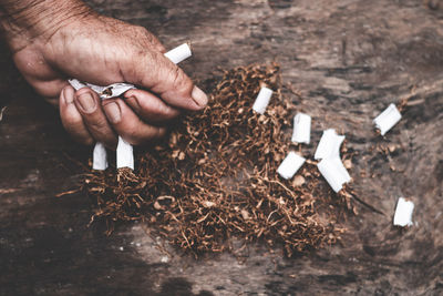 Cropped hand holding cigarettes outdoors