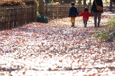 Rear view of people walking on autumn leaves