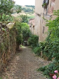 Narrow walkway along buildings