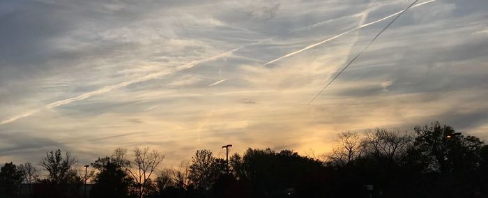 Low angle view of silhouette trees against sky