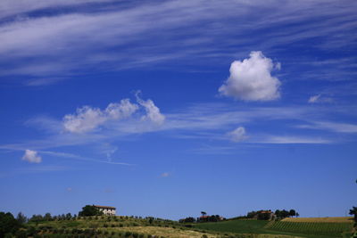Scenic view of agricultural field against blue sky