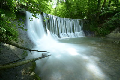 Scenic view of waterfall in forest