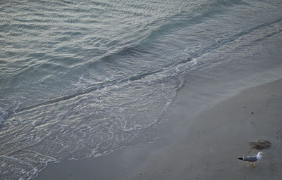 High angle view of beach