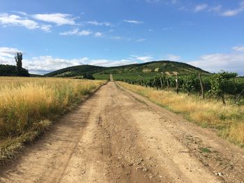 Road passing through field