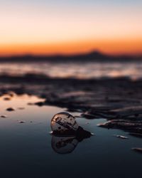 Close-up of crab on beach against sky during sunset