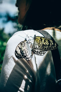 Midsection of woman with butterflies mating on shoulder