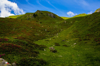 Scenic view of landscape against sky