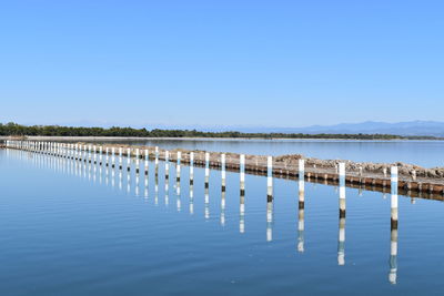 Wooden posts in lake against clear blue sky