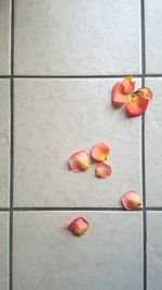 Directly above shot of rose petals on tiled floor