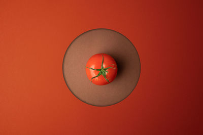 Directly above shot of orange fruit against red background