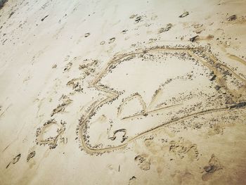 High angle view of sand on beach