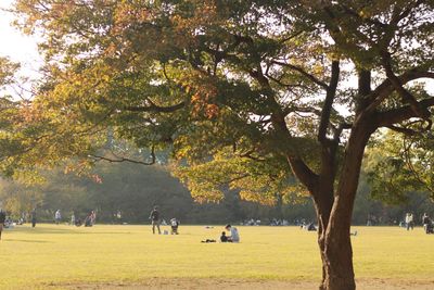 People in park during autumn