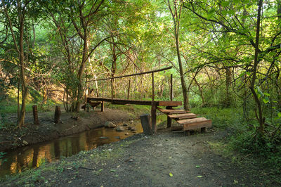 Wooden footbridge amidst trees in forest