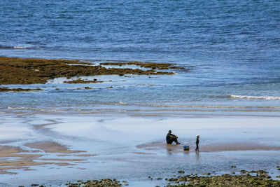 People on beach by sea