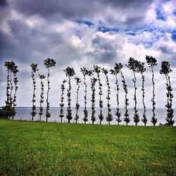 Scenic view of grassy field against cloudy sky