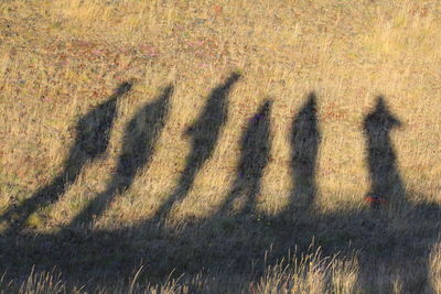 High angle view of shadow on field