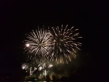 Low angle view of firework display at night