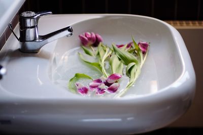 Close-up of flower in plate