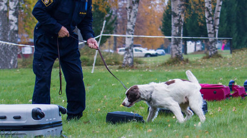 Low section of man with dog