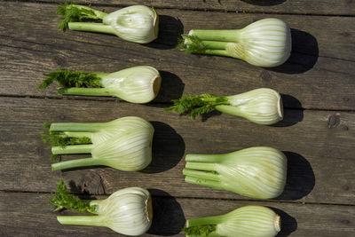 Close-up of fennel on wooden table